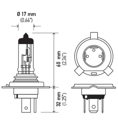 Hella Halogen H4 12V 60/55W Bulb - Powersports