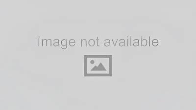 Hella Rallye 4000 H3 12V Fog Lamp - 12560001 - Lights