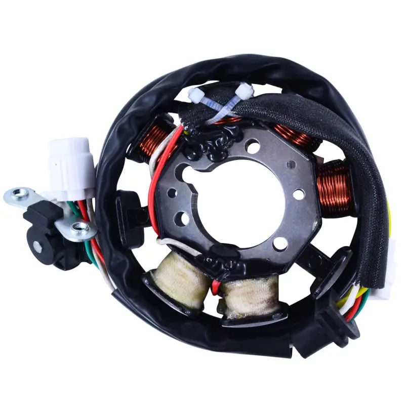 Stator Stator+Pickup+Connector - RM STATOR