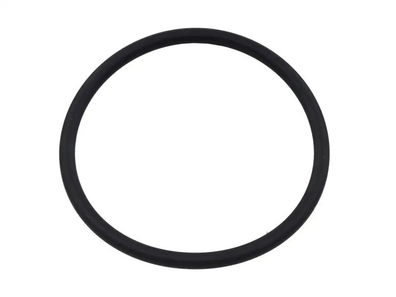 Fuel Pump Seal - SP1
