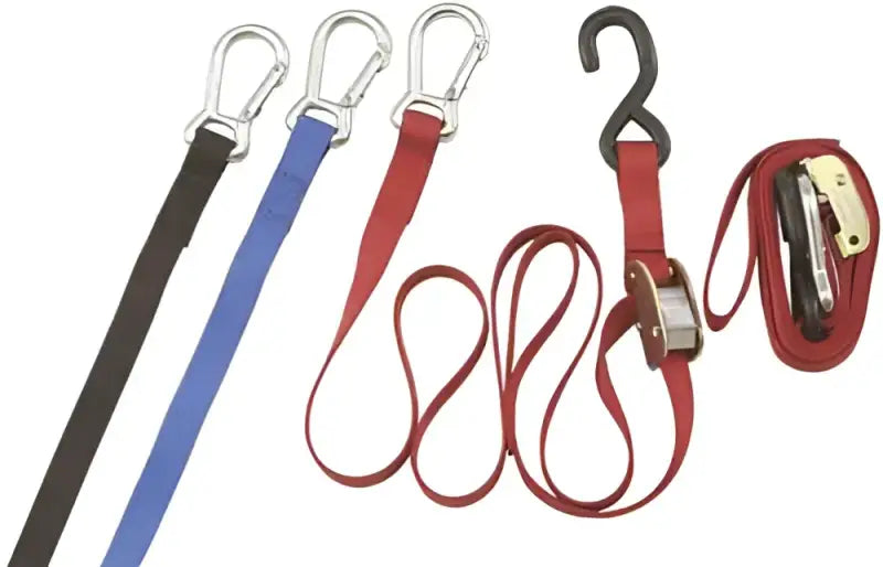 HR101-20 High Roller Cam-Lock Tie-Downs (Blue) 
