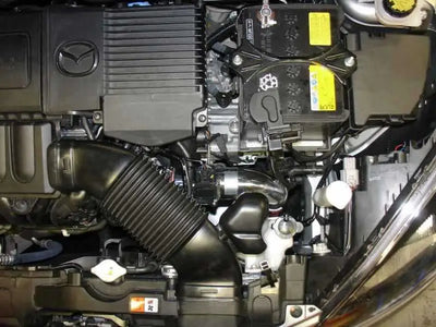 Injen SP6030BLK