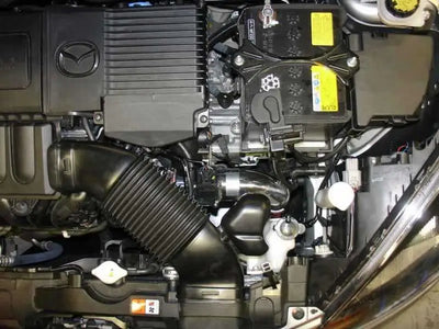Injen SP6030BLK