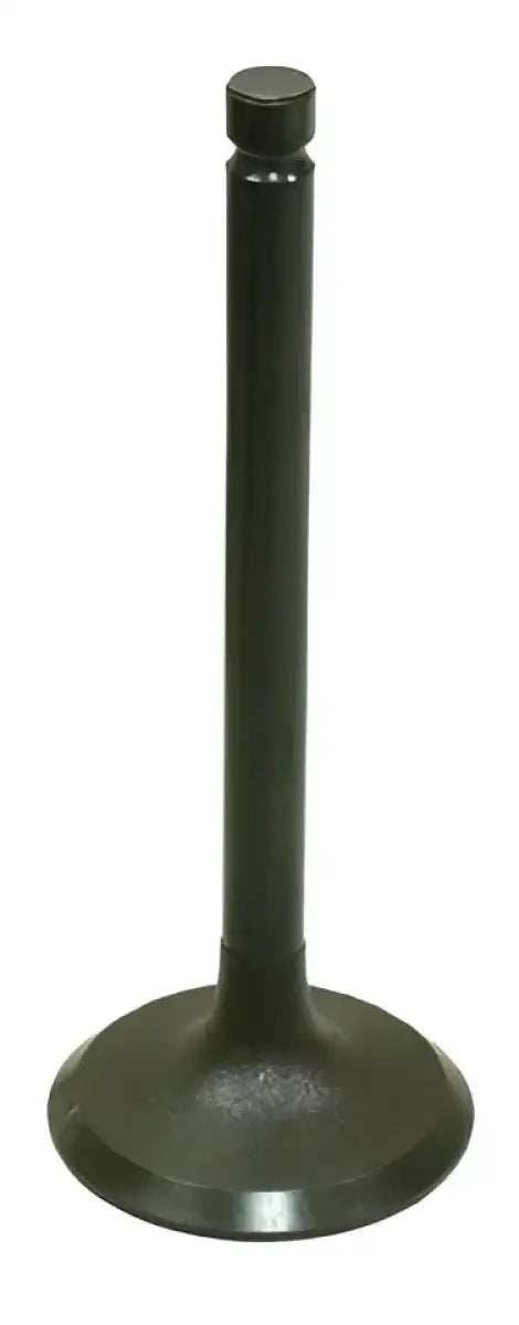 BRONCO Intake Valve for Powersports