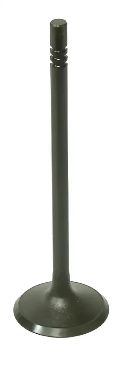 BRONCO Intake Valve for Powersports