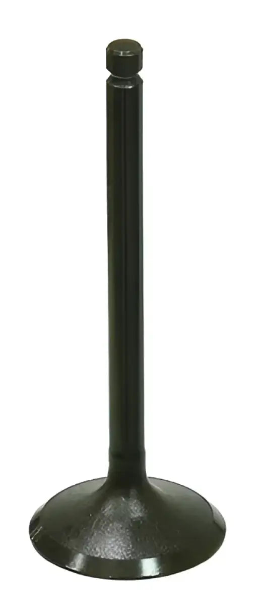 BRONCO Intake Valve for Powersports