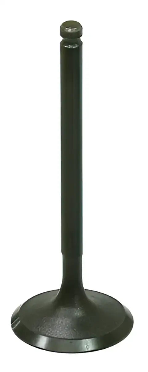 BRONCO Intake Valve for Powersports