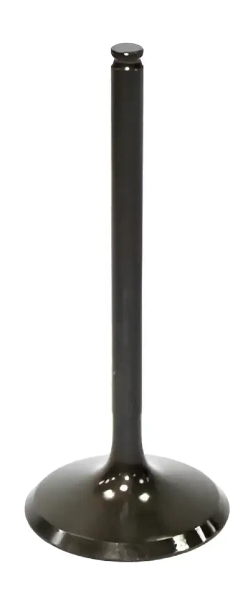 BRONCO Intake Valve for Powersports