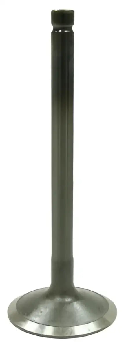 BRONCO Intake Valve for Powersports