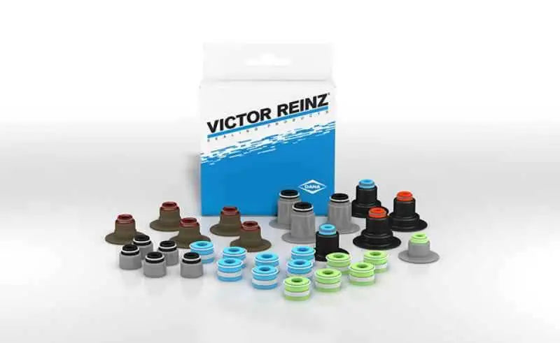 Victor Reinz B31733