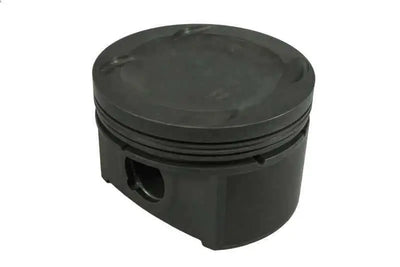 Mahle 930130066
