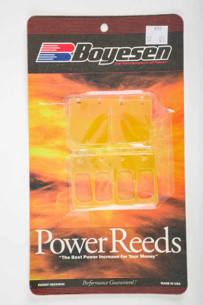 Motorcycle Reeds