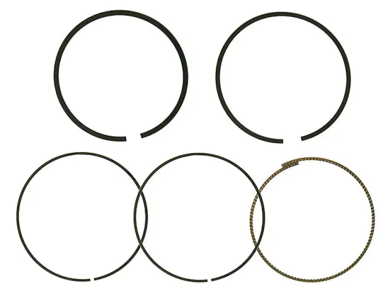 NA-50019-6R Piston Rings 100.44mm Pol For Namura Pistons Only - Ring Kit