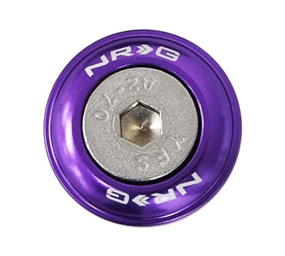 NRG Fender Washer Kit w/Rivets For Plastic (Purple) - Set of 10 