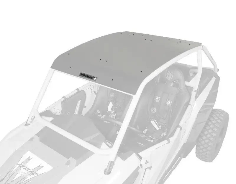P141295TM Pro Armor Asylum Roof Titanium Metallic - RV and Auto Parts
