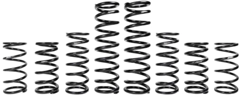 Arrangement of metal coil springs for RZR Turbo R Spring Kit 2022 2023 Fox Live 2 Seat
