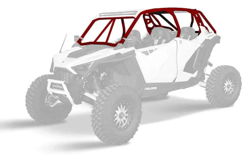 Pro Xp Cage W/V Intrusion Performance Red