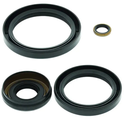 Assorted black and brown oil seals for Kawasaki KVF360 Prairie 2x4 fuel tap kit