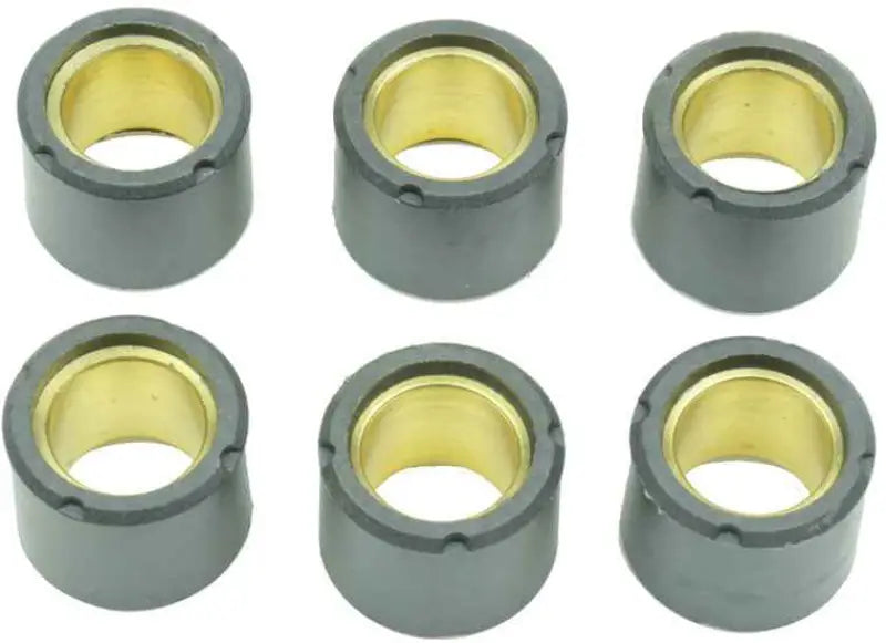 S41000030P035 Clutch Roller Kit 6 Roller 19x15 5.2 Gr