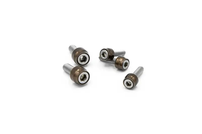 SF10016 Santoro Fabworx Chacho Bolt Kit Bronze Twin Cam Eng Trans Prim - RV and Auto Parts