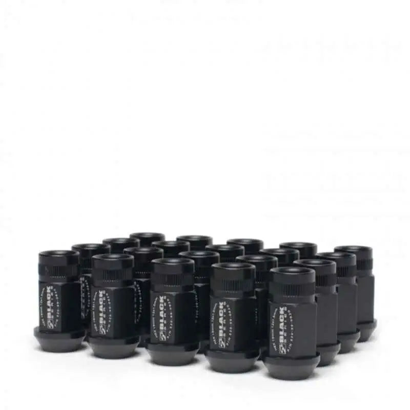 Skunk2 Racing 520-99-0853