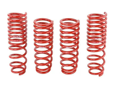 Skunk2 Racing 519-05-1660
