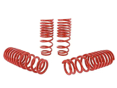 Skunk2 Racing 519-05-1550