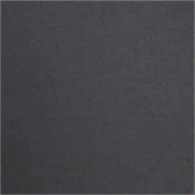 SP88-38 BLACK FIA Sl Front 19 Silv/Sier - Seat Cover