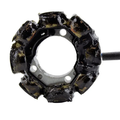 Stator Stator+Pickup+Connector - RM STATOR