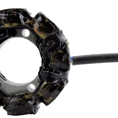Stator Stator+Pickup+Connector - RM STATOR