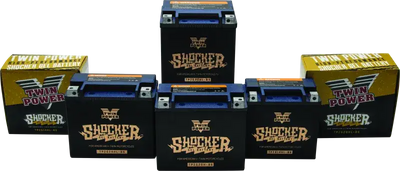 Twin Power YTX-14L Shocker Gel Battery Replaces H-D 65958-04 - RV and Auto Parts