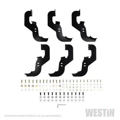 Westin 2019 Chevrolet Silverado/Sierra 1500 Crew Cab Non LD PRO TRAXX 4 Oval Nerf Step Bars - SS 